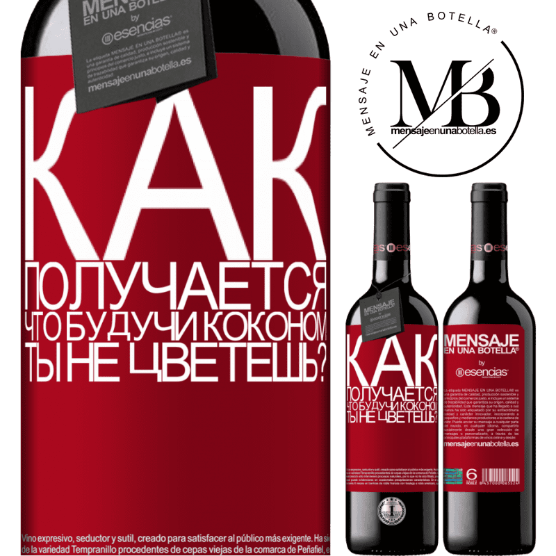 «как получается, что, будучи коконом, ты не цветешь?» Издание RED MBE Бронировать