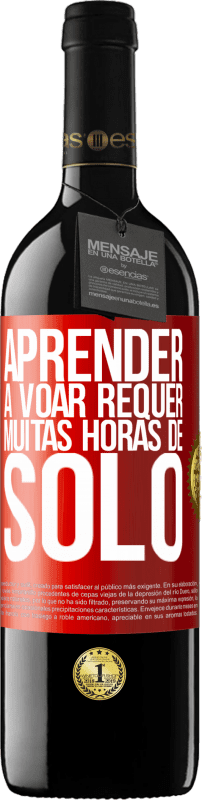 «Aprender a voar requer muitas horas de solo» Edição RED MBE Reserva