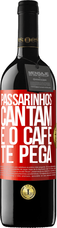 «Passarinhos cantam e o café te pega» Edição RED MBE Reserva