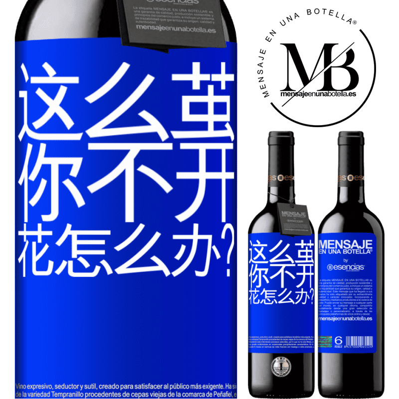 «这么茧，你不开花怎么办？» RED版 MBE 预订