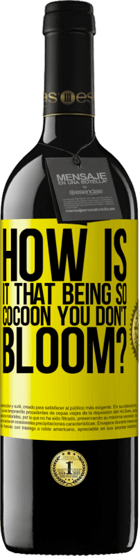 39,95 € 送料無料 | 赤ワイン REDエディション MBE 予約する soになって咲かないのはどうですか？ 黄色のラベル. カスタマイズ可能なラベル 予約する 12 月 収穫 2016 Tempranillo