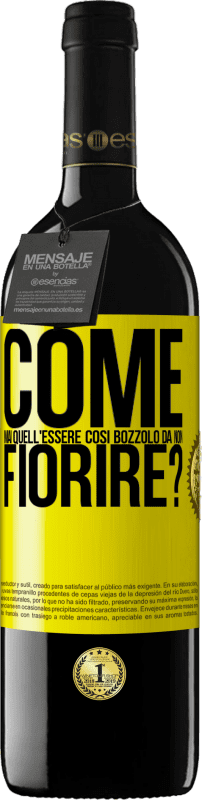 39,95 € Spedizione Gratuita | Vino rosso Edizione RED MBE Riserva come mai quell'essere così bozzolo da non fiorire? Etichetta Gialla. Etichetta personalizzabile Riserva 12 Mesi Raccogliere 2016 Tempranillo