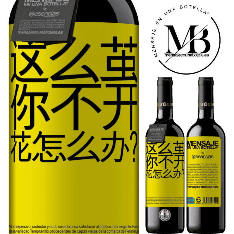 «这么茧，你不开花怎么办？» RED版 MBE 预订