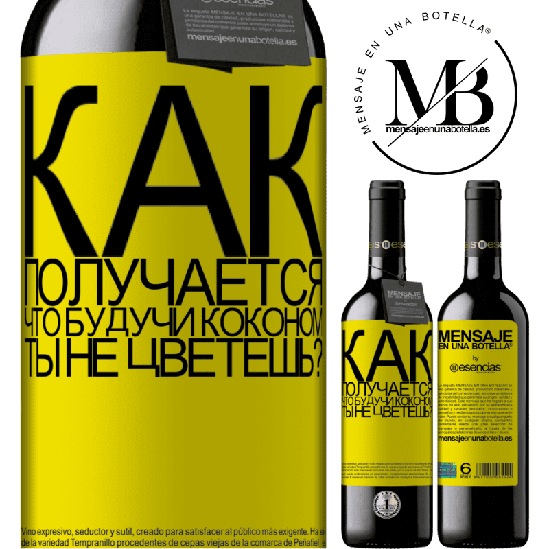 «как получается, что, будучи коконом, ты не цветешь?» Издание RED MBE Бронировать