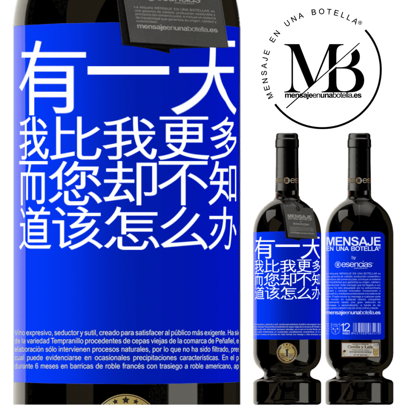 «有一天，我比我更多，而您却不知道该怎么办» 高级版 MBS® 预订