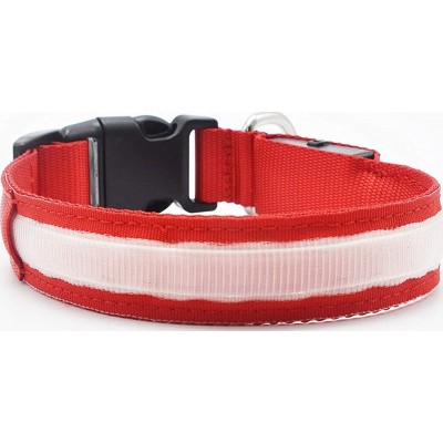 19,99 € Envío gratis | Mediano (M) Collares Collar de seguridad LED. USB recargable. Collar intermitente para perro Naranja