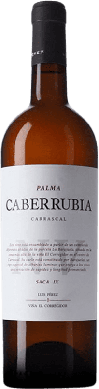 Бесплатная доставка | Белое вино Luis Pérez Caberrubia Saca XI Fino — Фино D.O. Jerez-Xérès-Sherry Андалусия Испания 75 cl