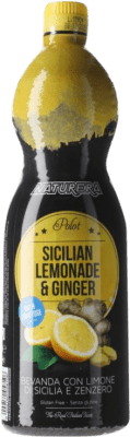 Juice Naturera 1 L Jengibre — Ginger, Limonade — Lemonade