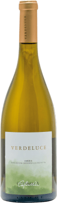 Falesco Verdeluce
