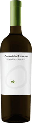 Feudi di San Gregorio Costa delle Parracine Forastera Ischia 75 cl
