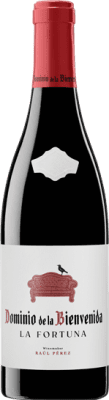 Dominio de la Bienvenida La Fortuna Bierzo 75 cl
