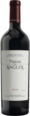Pagos de Anguix Barrueco Ribera del Duero Бутылка Магнум 1,5 L