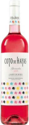 Bodegas Aragonesas Coto de Hayas Campo de Borja 75 cl