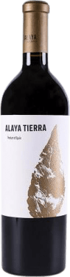 Atalaya Alaya Tierra Garnacha — グルナッシュ Alicante マグナムボトル 1,5 L