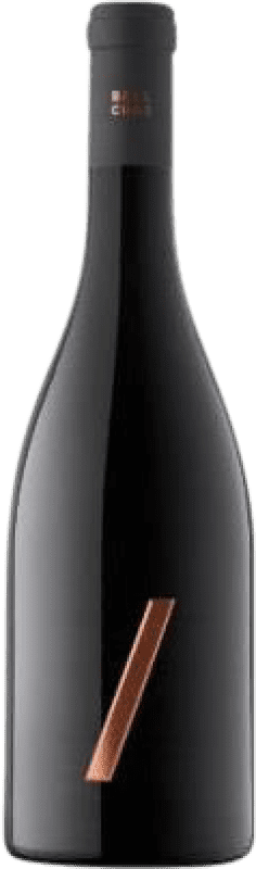 Envío gratis | Vino Tinto Bell Cros Selecció Delfí D.O. Montsant Cataluña España Garnacha 75 cl