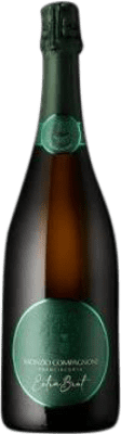 Monzio Chardonnay Extra Brut Franciacorta Vintage 75 cl
