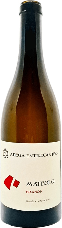 免费送货 | 白葡萄酒 Entrecantos Mateolo Seco — 干型 加利西亚 西班牙 Godello — 戈德略, Albarín — 阿尔巴林 75 cl