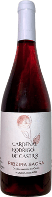 Soutelo Cardenal Rodrigo de Castro Seco — Сухое Ribeira Sacra 75 cl