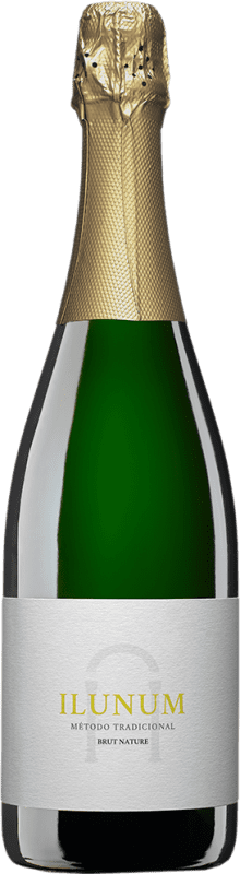 21,95 € Envio grátis | Espumante Branco Ilunum Seco I.G.P. Vino de la Tierra de Castilla Vegano