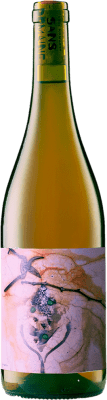 Sans Domaine Procès Seco — Secco 75 cl