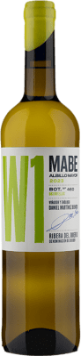 Dani Mabe W1