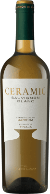 Vicente Gandía Ceramic Sauvignon — ソーヴィニヨン マグナムボトル 1,5 L