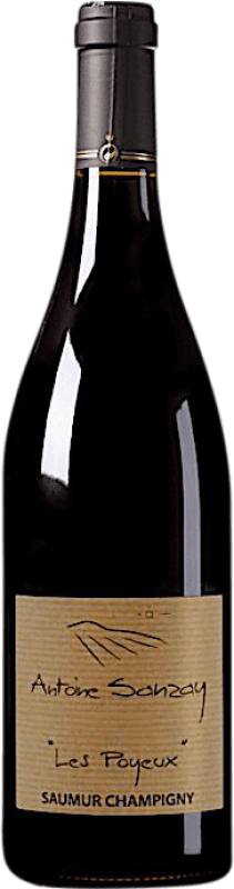 Spedizione Gratuita | Vino Rosso Antoine Sanzay Les Poyeux A.O.C. Saumur-Champigny Loire Francia Cabernet Franc Bottiglia Magnum 1,5 L