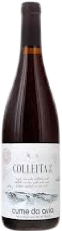Kostenloser Versand | Rotwein Cume do Avia Colleita Nº 10 D.O. Ribeiro Galizien Spanien Brancellao, Ferrol, Caíño 75 cl