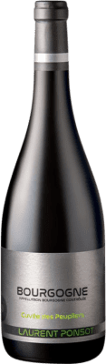 Laurent Ponsot Peupliers Pinot Noir — ピノ・ノワール Bourgogne Cuvée 75 cl