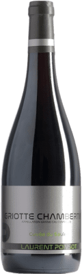 Laurent Ponsot Saule Pinot Noir Griotte-Chambertin Grand Cru, Cuvée Bouteille Magnum 1,5 L
