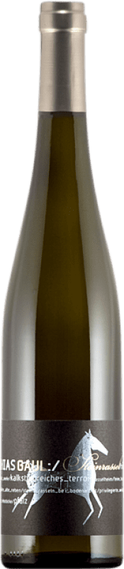 Envio grátis | Vinho Branco Matthias Gaul Steinrassel Trocken — Seco Q.b.A. Pfälz Pfälz Alemanha Riesling 75 cl