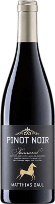 Matthias Gaul Steinrassel Pinot Noir Trocken — Seco Pfälz 75 cl