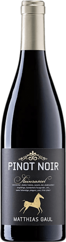 Envio grátis | Vinho Tinto Matthias Gaul Steinrassel Trocken — Seco Q.b.A. Pfälz Pfälz Alemanha Pinot Noir 75 cl