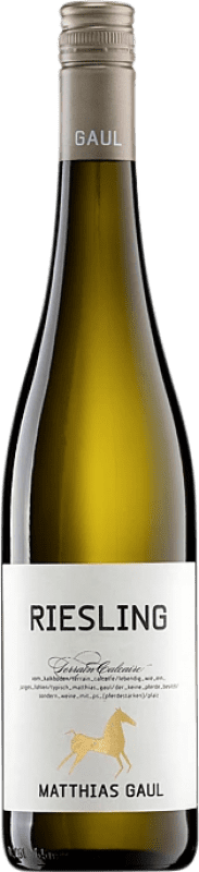 Envio grátis | Vinho Branco Matthias Gaul Terrain Calcaire Trocken — Seco Q.b.A. Pfälz Pfälz Alemanha Riesling 75 cl