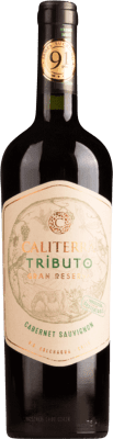 Viña Caliterra Tributo Cabernet Sauvignon Trocken Valle de Colchagua Große Reserve — Lange Reifung 75 cl