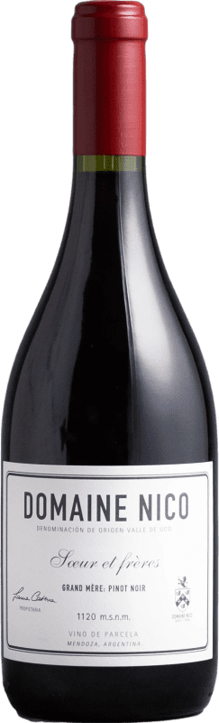 Envoi gratuit | Vin Rouge Domaine Nico Grande Mère I.G. Mendoza Mendoza Argentine Pinot Noir 75 cl