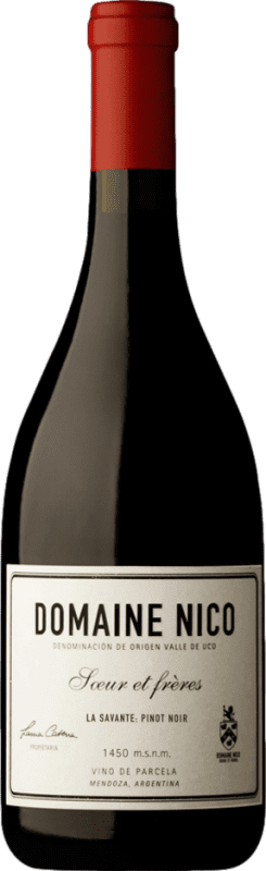 Envoi gratuit | Vin Rouge Domaine Nico La Savante I.G. Mendoza Mendoza Argentine Pinot Noir 75 cl