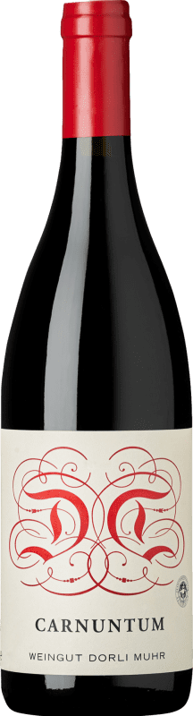 Envio grátis | Vinho Tinto Dorli Muhr D.A.C. Carnuntum Áustria Syrah, Blaufränkisch, Zweigelt Organic — Bio 75 cl