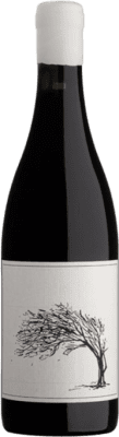 Savage Girl Next Door Syrah — Сира Cape Town 75 cl