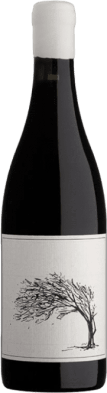 46,95 € Envío gratis | Vino Tinto Savage Girl Next Door I.G. Cape Town