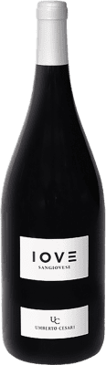 Umberto Cesari Love Sangiovese Emilia Romagna 瓶子 Magnum 1,5 L