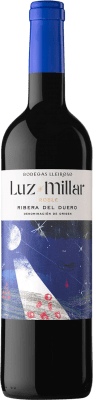 Palacio de Bornos Luz Millar 瓶子 Magnum 1,5 L