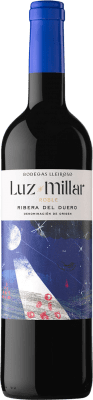 Palacio de Bornos Luz Millar Magnumflasche 1,5 L