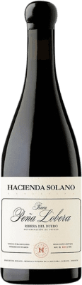 Hacienda Solano Finca Peña Lobera Bottiglia Magnum 1,5 L