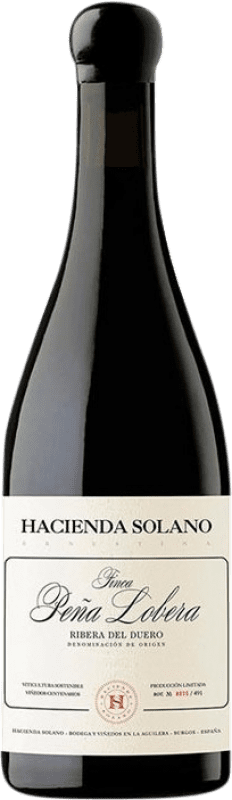 Envío gratis | Vino tinto Hacienda Solano Finca Peña Lobera España Botella Magnum 1,5 L