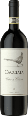 Cacciata