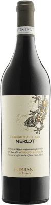 Fortant de France Terroir d'Altitude Seco — 干型