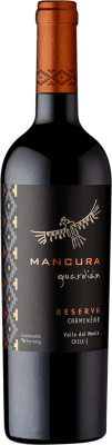 Mancura Guardián Seco — Dry Reserve — Aged