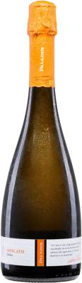 Paladin Dolce Doux