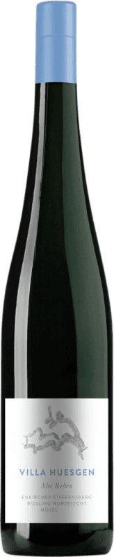 Бесплатная доставка | Белое вино Villa Huesgen Alte Reben Wurzelecht сухой Q.b.A. Mosel Mosel Германия Riesling 75 cl